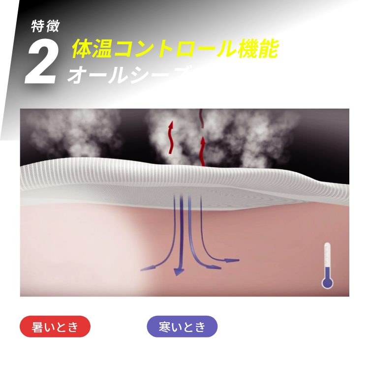 体温コントロール機能によりオールシーズン使用可能！