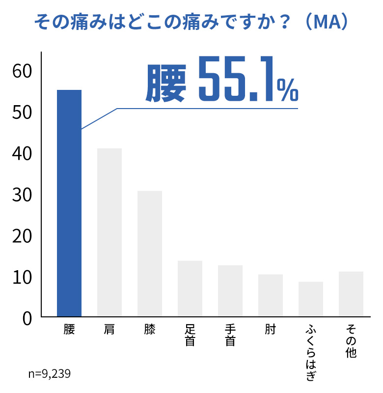 図2：その痛みはどこの痛みですか