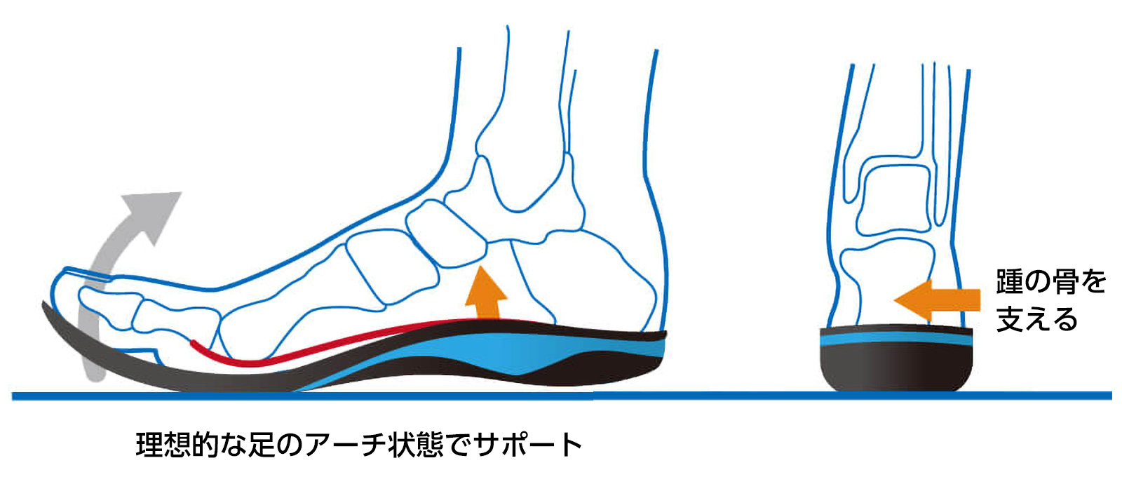 ウィンドラスメカニズム