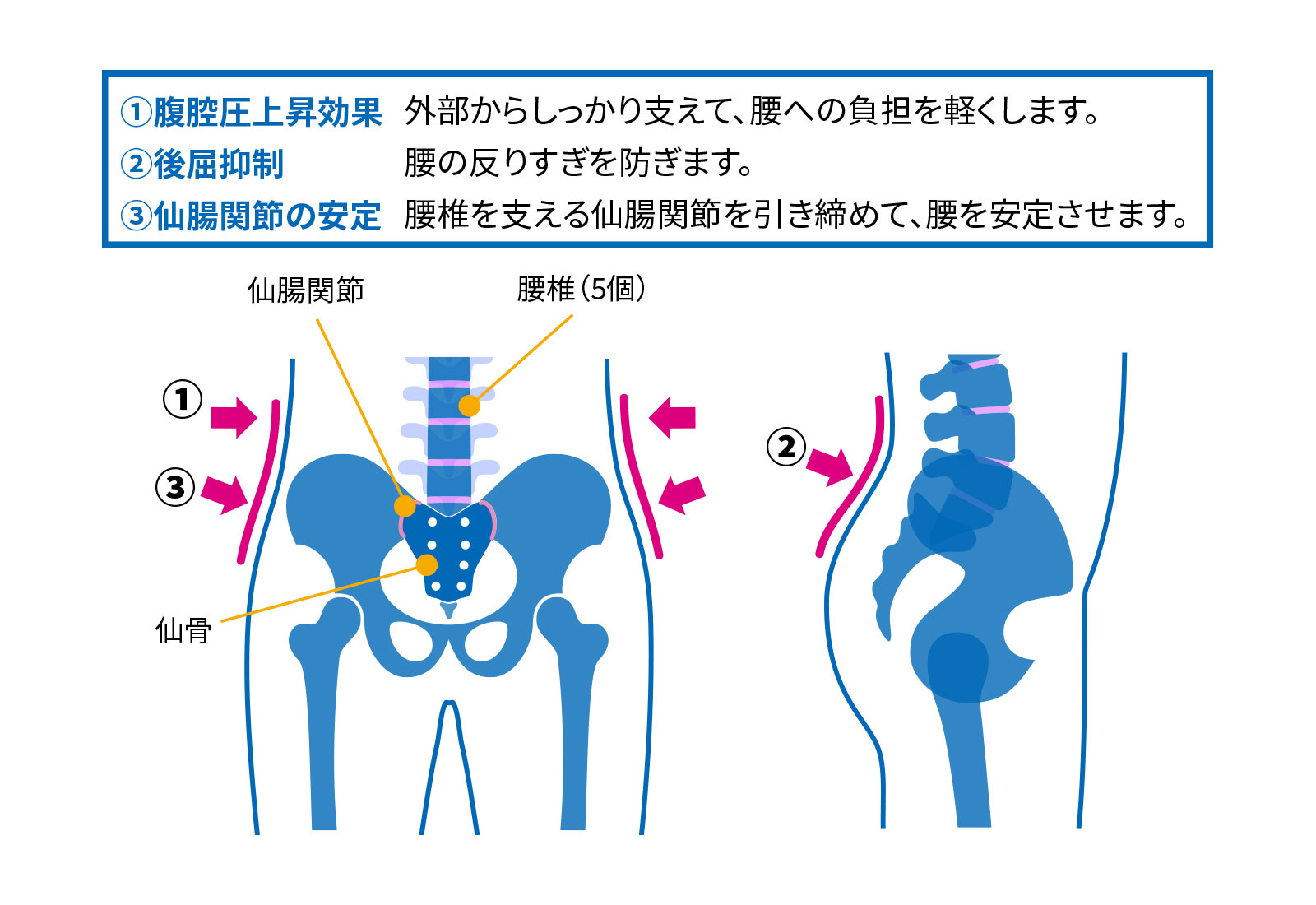 腰用サポーターの3つの機能