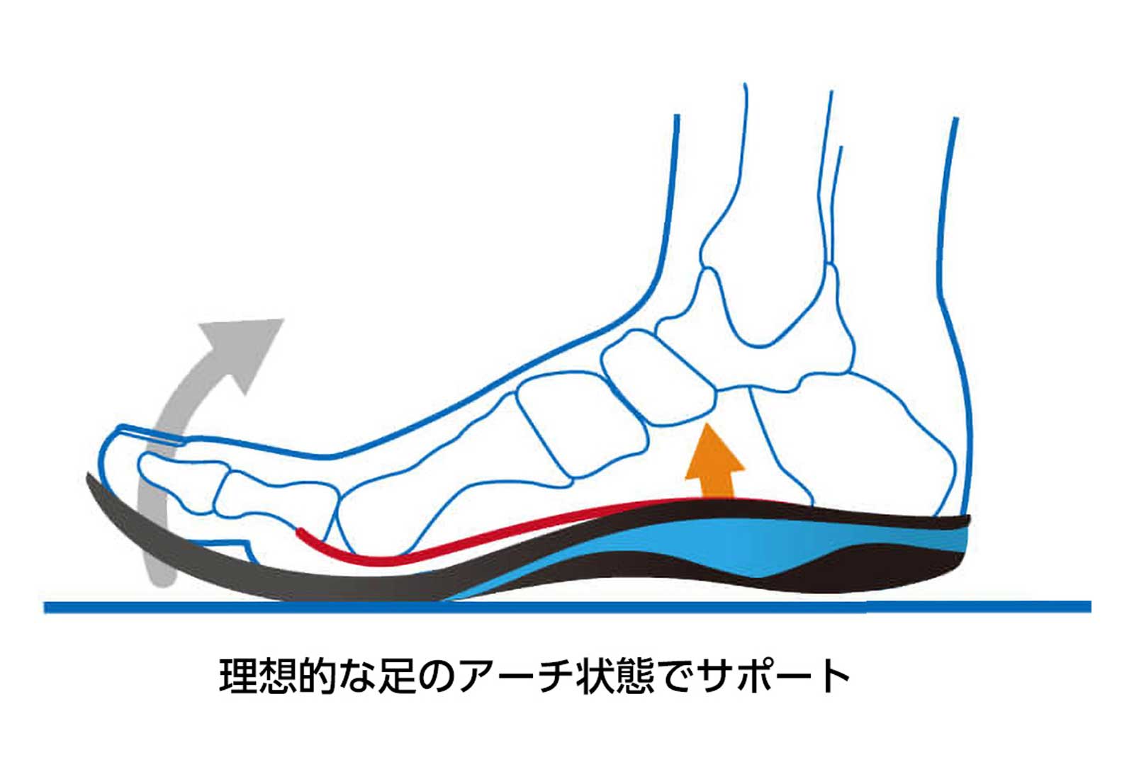 ザムスト　インソール