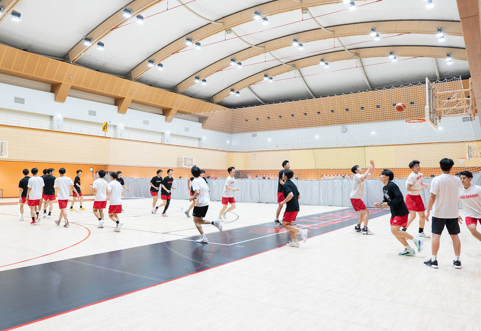 日本大学男子バスケットボール部