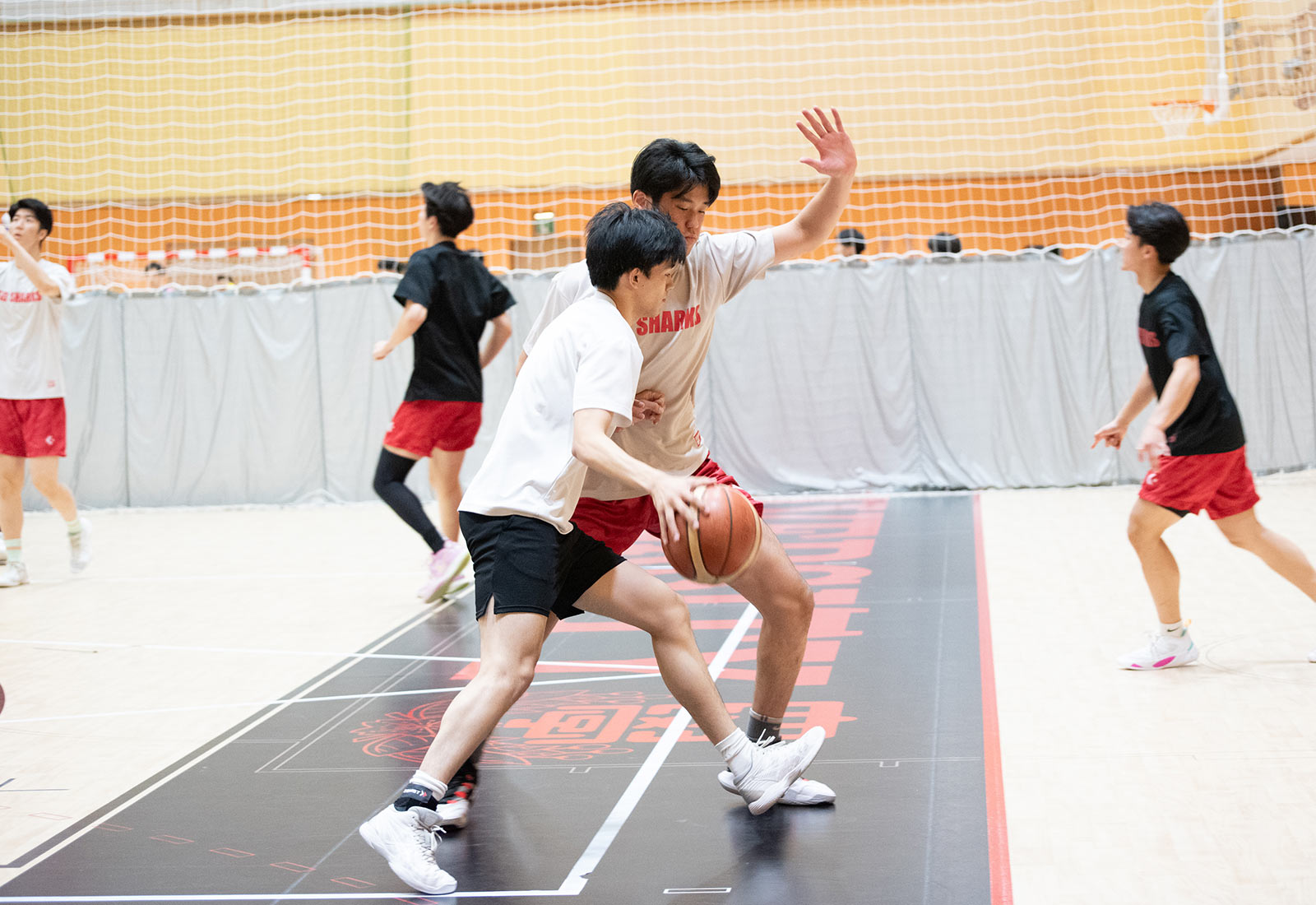 日本大学男子バスケットボール部