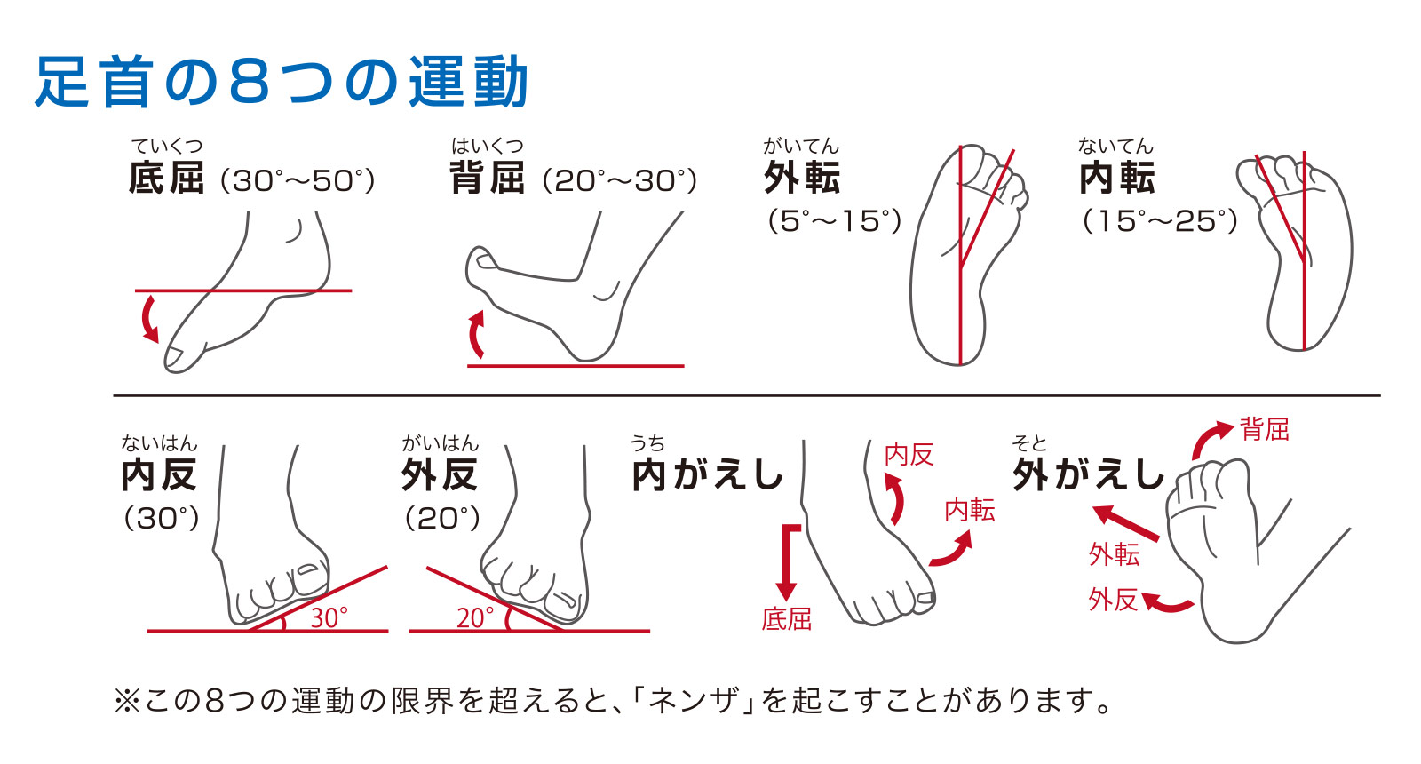 アキレス腱