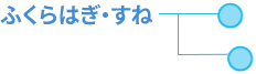 ふくらはぎ・すね